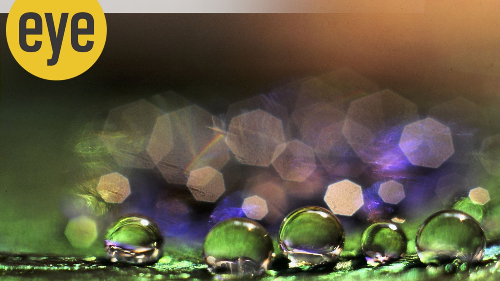 Water: The life-giving elixir we take for granted