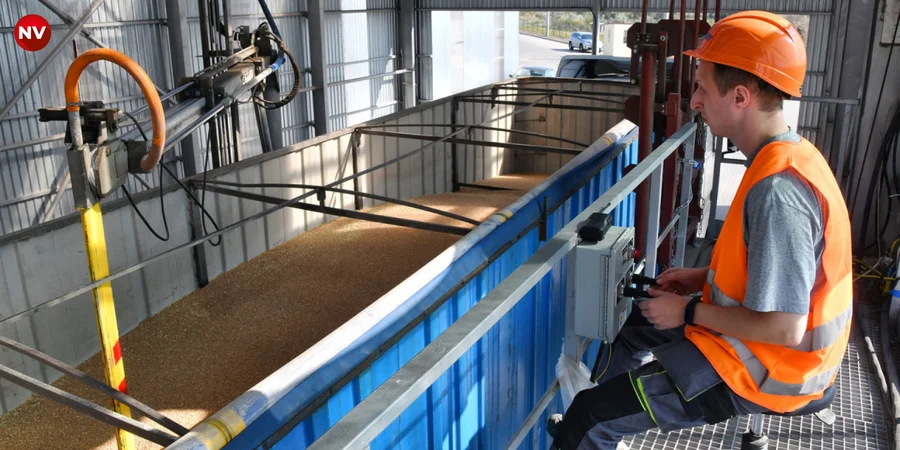 Ukraine’s agricultural exports fall by two-thirds in August as port attacks intensify