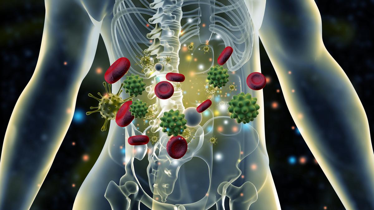 Autoimmune disorders to take centre stage at upcoming Ayurveda conference at Udupi