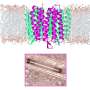 Ultrafast sample spinning improves protein structural data by dizzying proportions