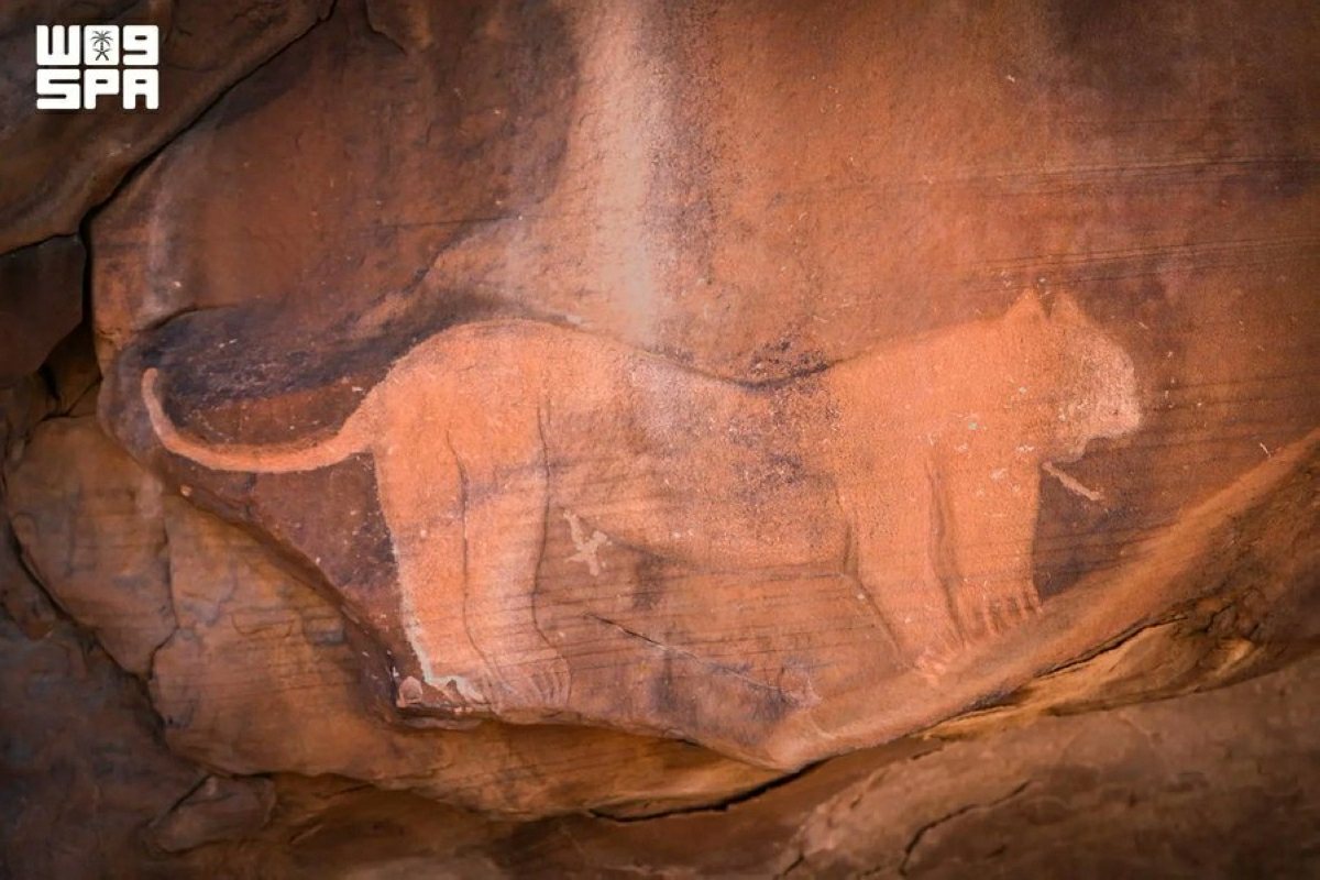 Prince Mohammed bin Salman Royal Reserve plans historic return of endangered Asiatic lion