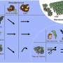 Bats show promise as a form of biological pest control in South African macadamia plantations