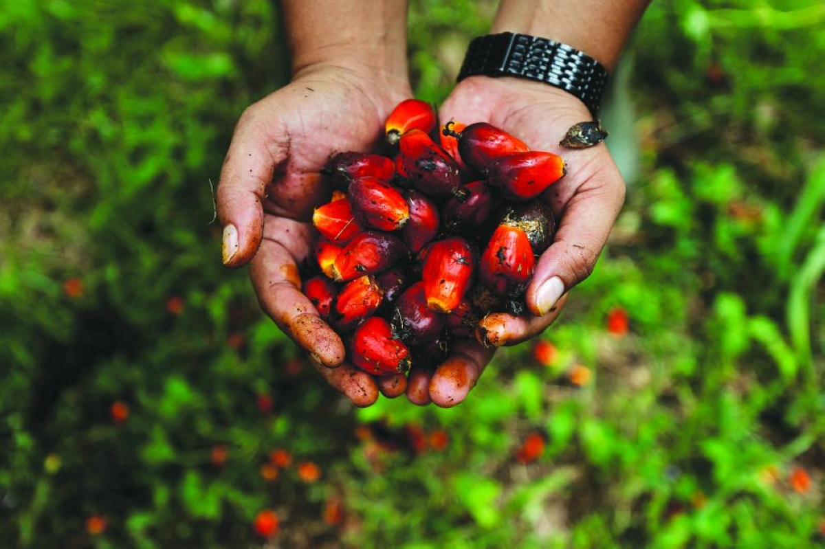 Indonesia's global commodities price-setting ambition risks backfiring