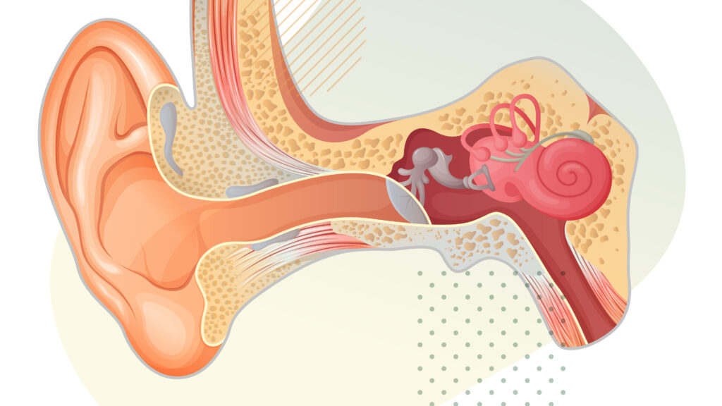 STAT+: Skylar Bio kicks off new gene therapy trial for deafness