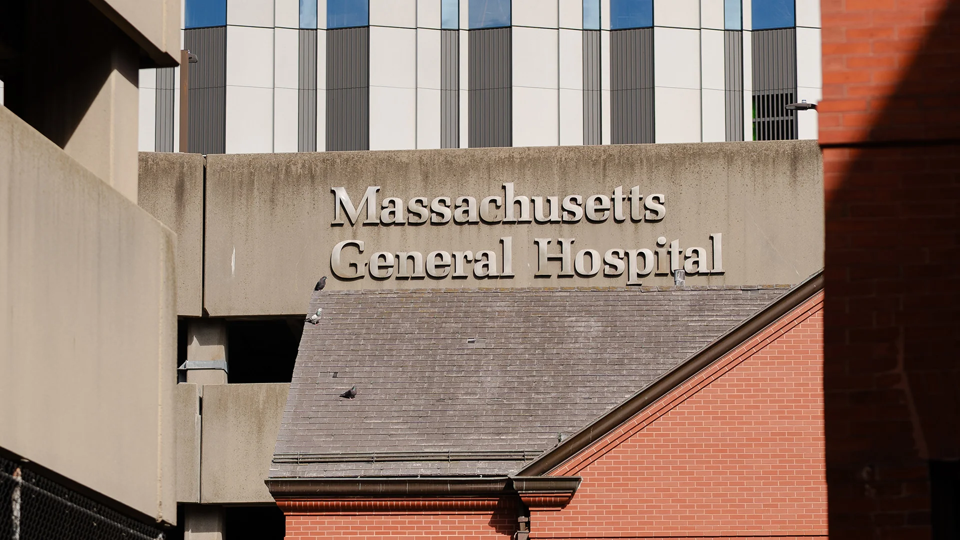 A Pig’s Kidney Saved This Man’s Life. The Transplant Tech Behind It Could Save 90,000 More