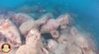 Bottoms up: vast Roman shipwreck filled with ancient wine amphoras discovered near Sicily
