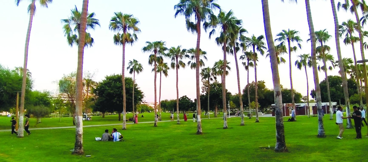 Walk in the park