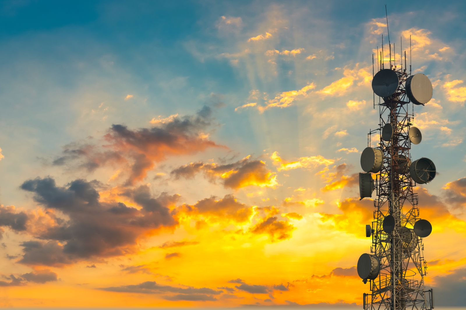 How Is American Tower’s Stock Performance Compared to Other Real Estate Stocks