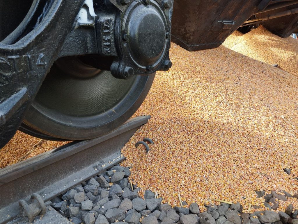 US forecasters see Ukraine’s corn exports falling 39% as Russia bombs ports