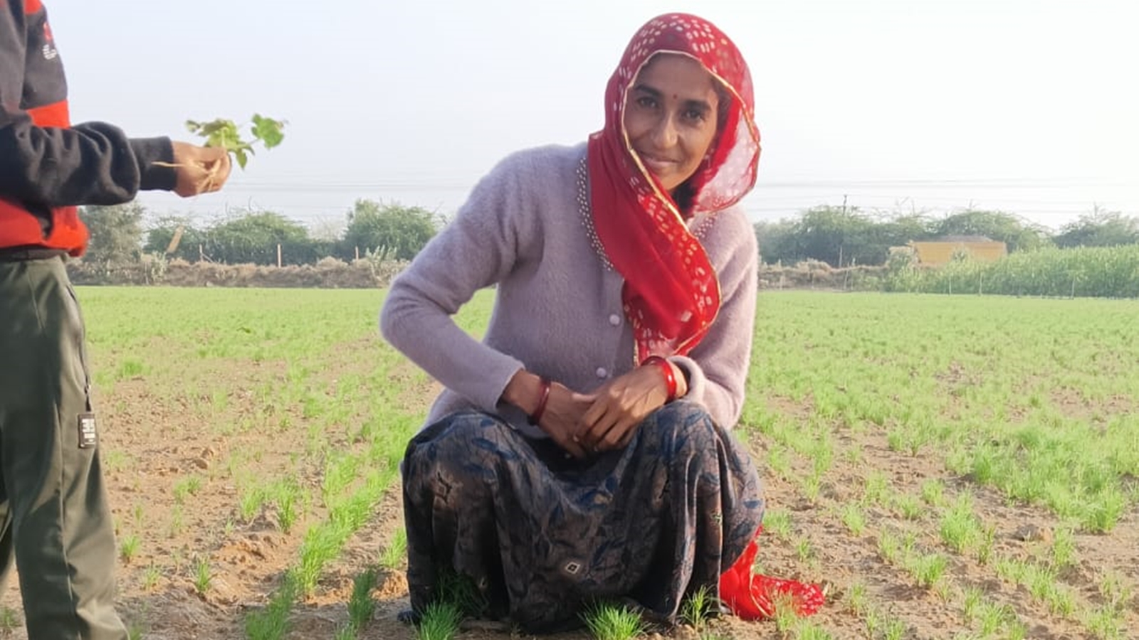 To protect farmers and their produce, India’s GI tag needs reform