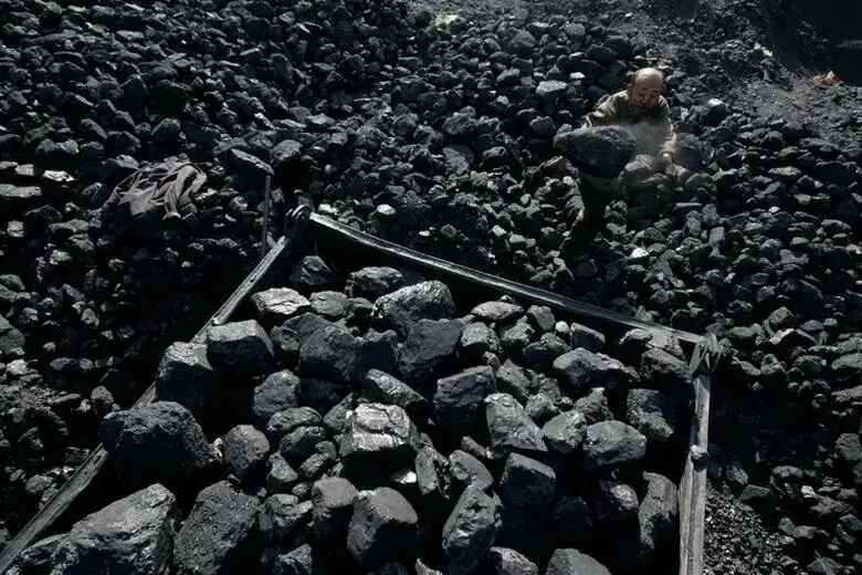 Coal India weighs buying Canada's Wealth Minerals unit for Chile lithium assets, sources say