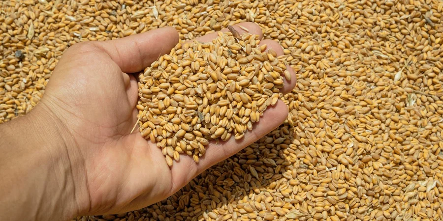 USDA slashes Ukraine grain export forecasts amid attacks