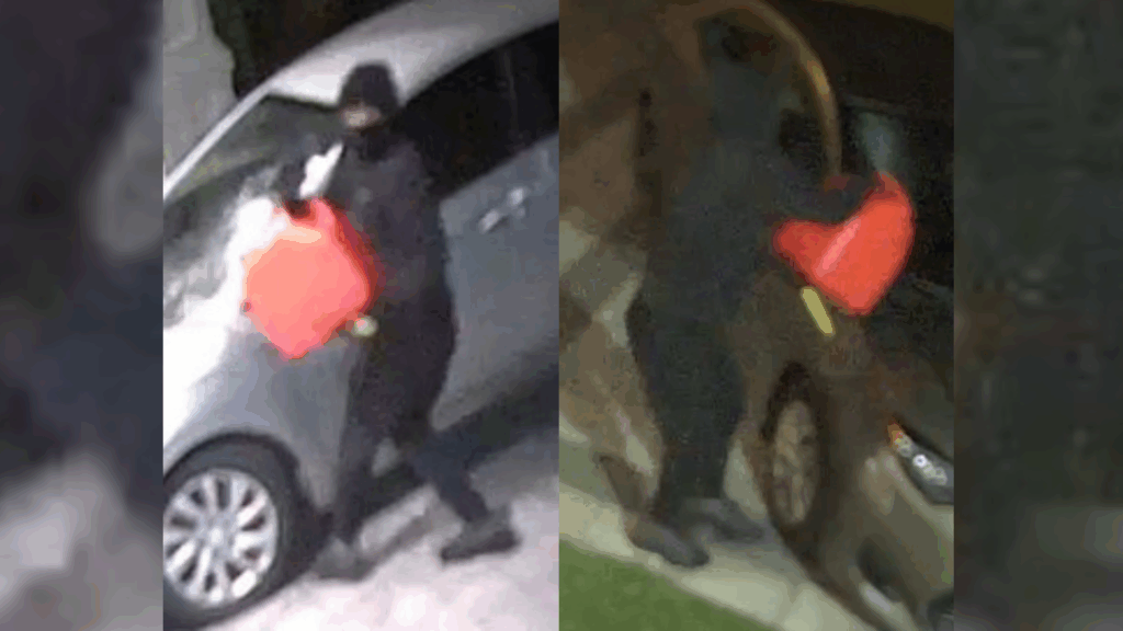 Suspect arrested, another sought, after vehicles at MPs Scarborough home set on fire