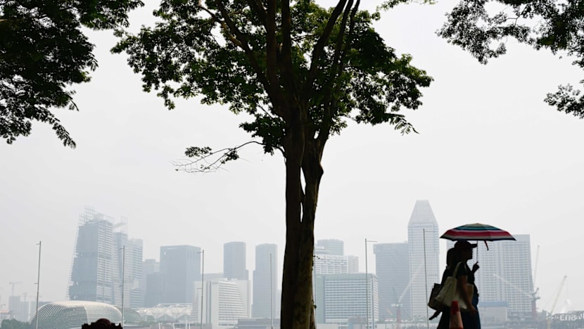 Haze in Singapore: Air quality at unhealthy range in central region