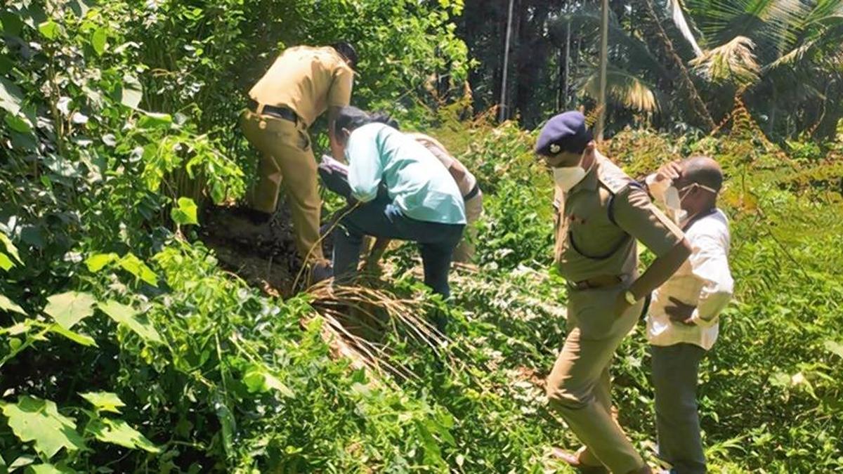 Kerala Muttil tree-felling case: Chottanikkara court issues non-bailable warrants to Augustine brothers in cheating case