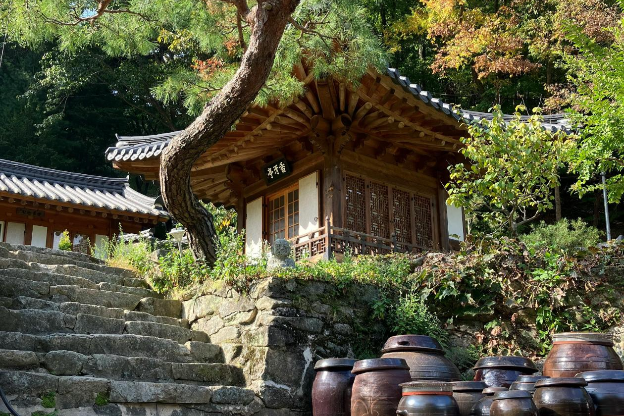 How Korea was really colonized