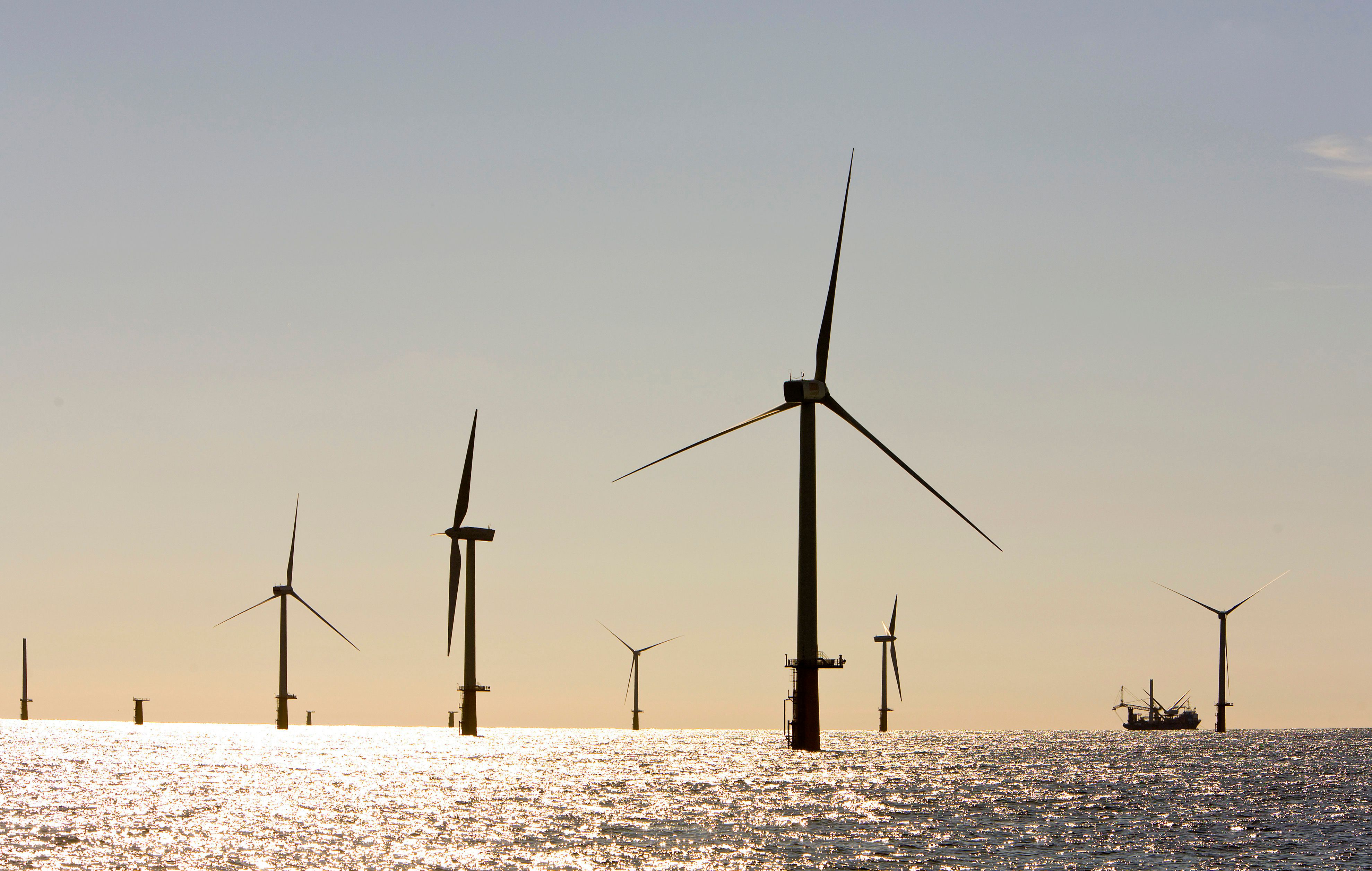 US 'overpaid' for cancelled wind leases, researcher finds