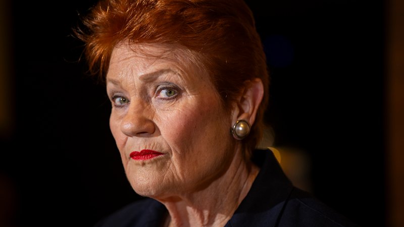 ‘Populism 101’: Hanson branded hypocrite over violence claims
