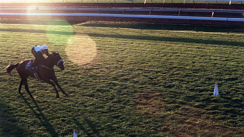 Sinclair returns to Moree with five-strong team