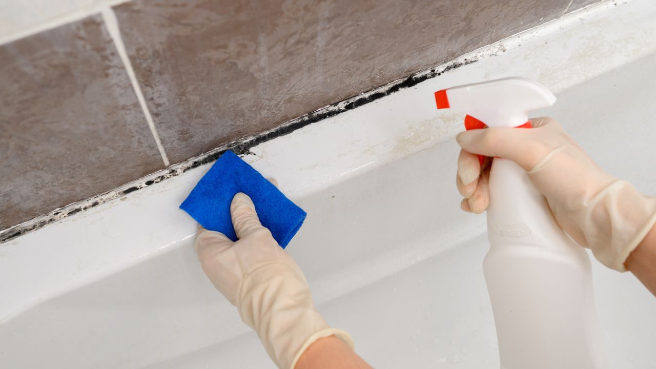 How to clean mold from your shower permanently — without using household bleach