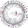 A cooperative approach to reproductive success