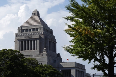Government may fully cover local losses from consumption tax cut