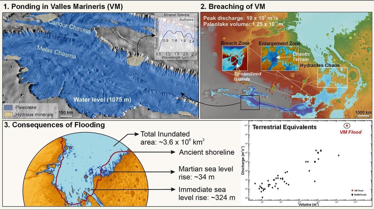 Valles Marineris flood may have raised ancient Martian sea level by 34 metres: study