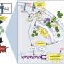 Genetic variants shed light on kidney transplant rejection
