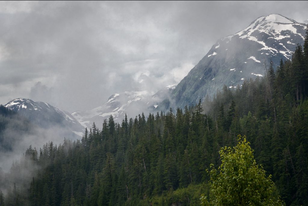 Alaska Earthquake Strikes as Recent Tremors Raise Questions About Global Seismic Activity