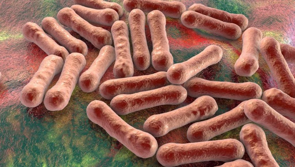 Plateau shuts schools over diphtheria outbreak concerns