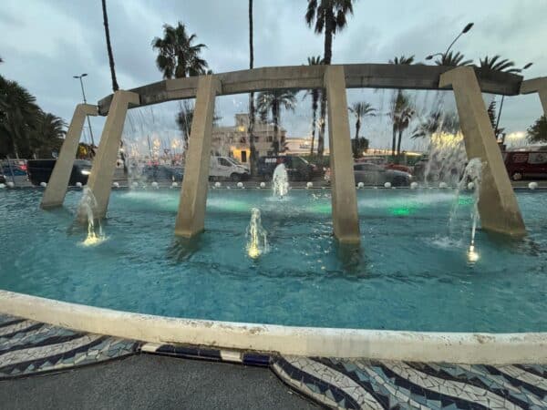 Torrevieja Steps Up Maintenance Across Parks and Gardens