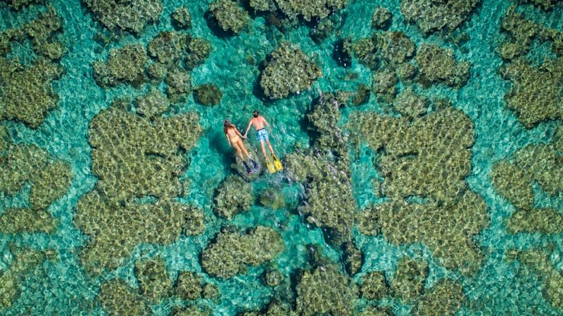 A reef romance