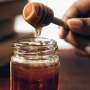 Multiple bioactive compounds drive antimicrobial properties of mānuka honey, study finds
