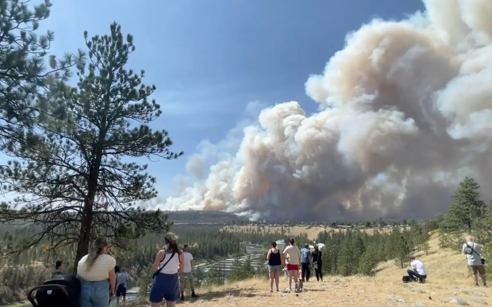 Wildfires burn hundreds of homes in US northwest city of Spokane