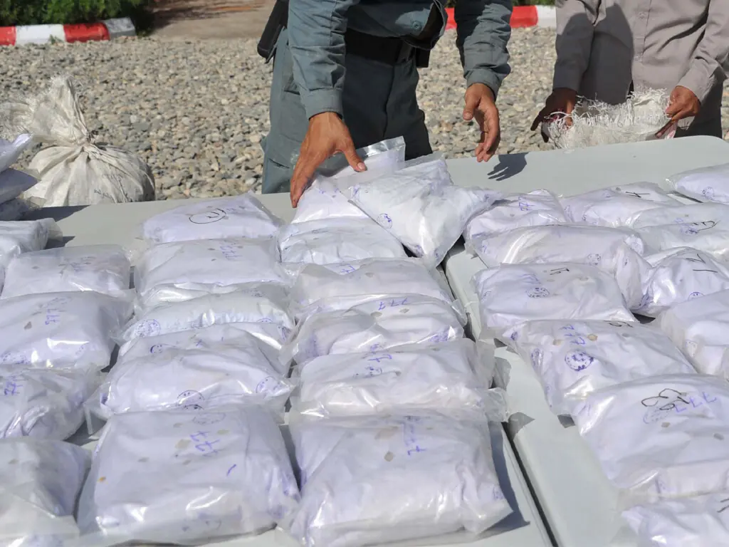 CCD Punjab launches crackdown on narcotics