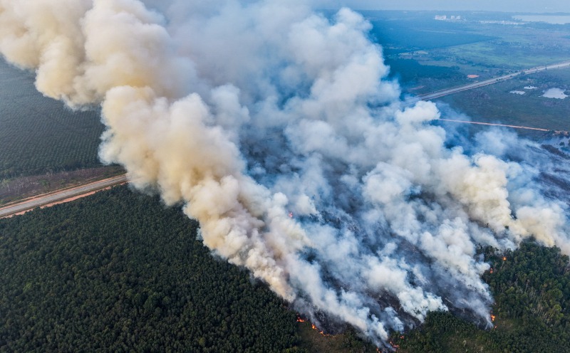 Negligence is all it takes to spark huge fire, warns Fire Dept