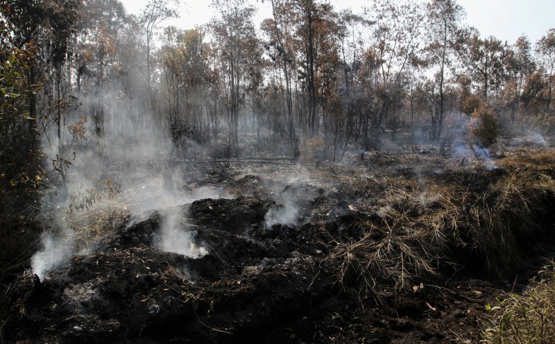Beneath the surface, peat fires keep burning