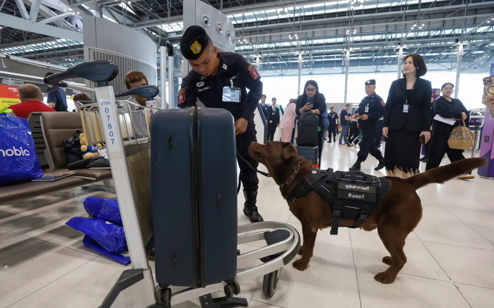 11 French nationals detained in Thailand for drug trafficking