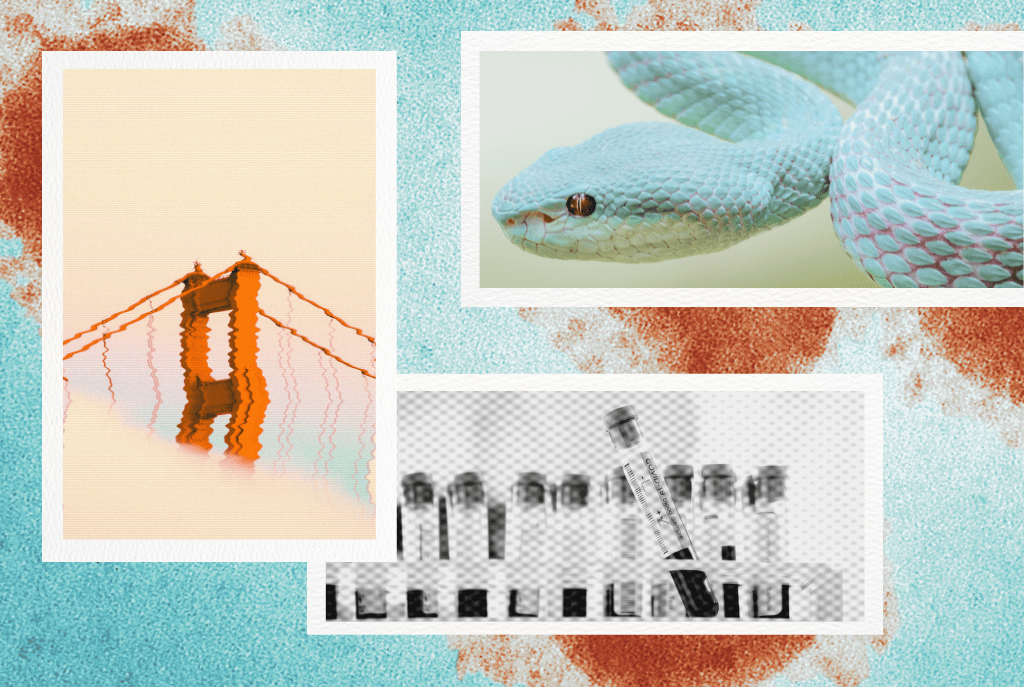 VIPER aims to fast track Long COVID biomarkers. Here’s how it works.