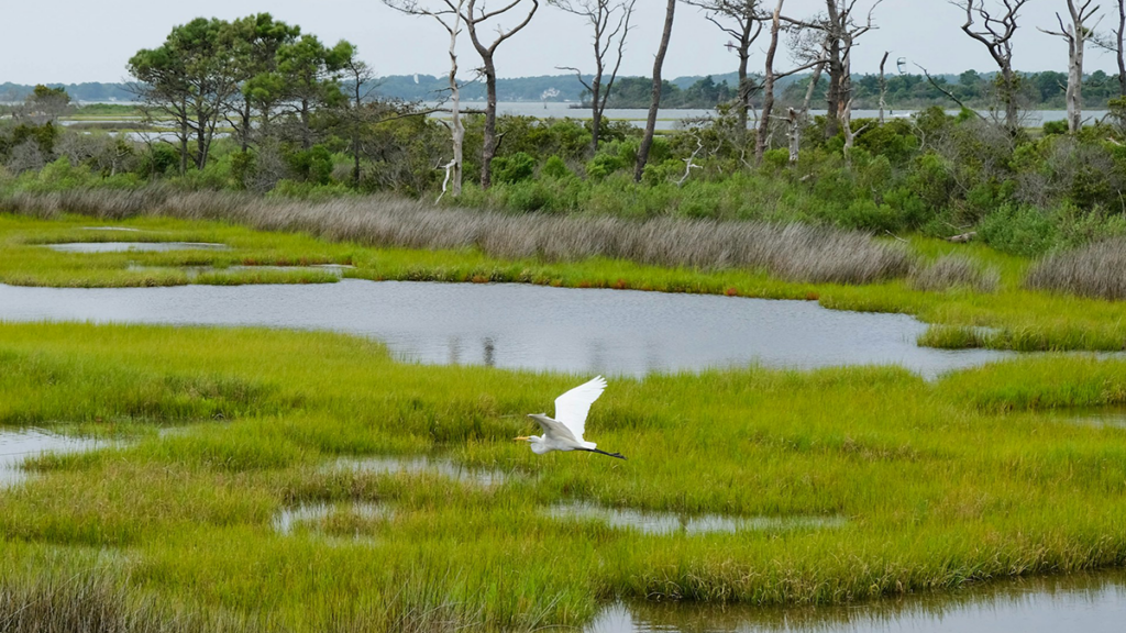 Participation Challenges May Limit Conservation Incentive Programs
