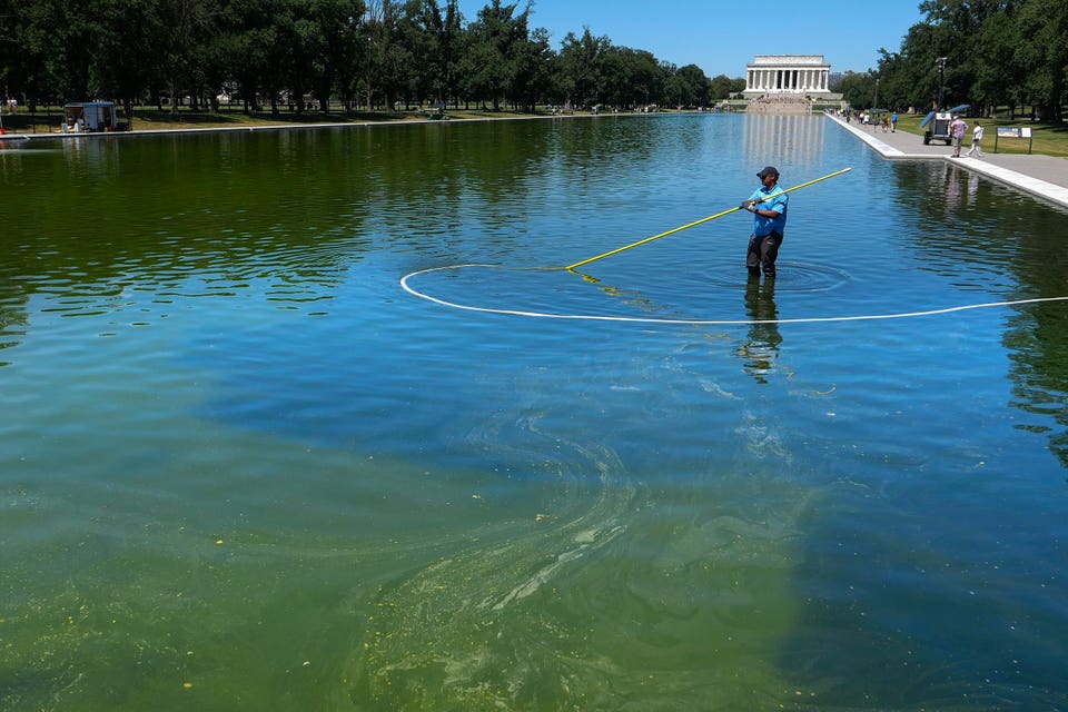 White House Seeking New Charges Against David Hearn After Dropped Reflecting Pool Vandalism Case, Report Says