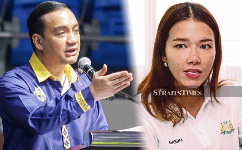 Former Skudai rep Marina Ibrahim appointed Johor special officer for Orang Asli