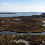 Under-the-radar creeks could be sweeping carbon out of salt marshes