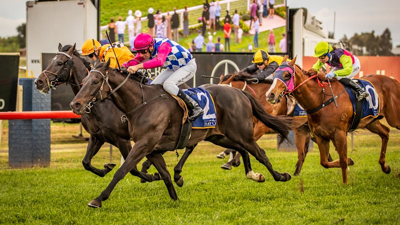 Tips and race-by-race guide for Dubbo on Monday