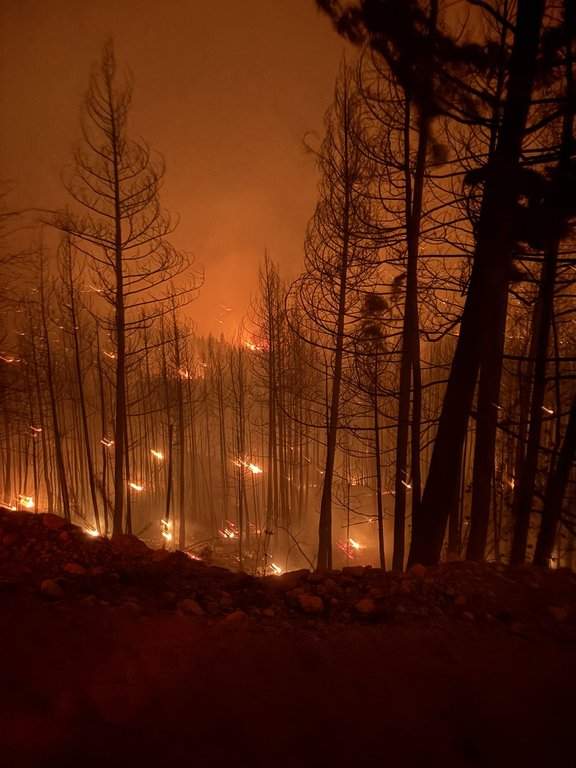 Bald Range wildfire near Summerland grows to more than 17,800 hectares