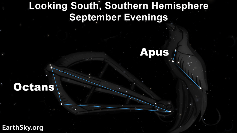 Octans and Apus circle the south celestial pole