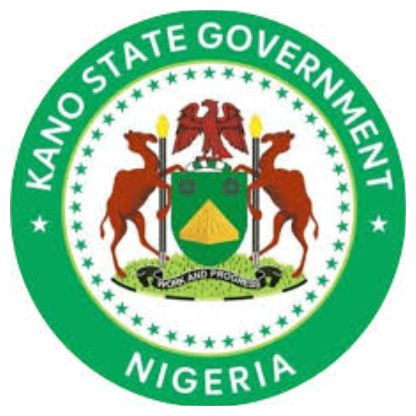 Diphtheria: Kano govt rules out school closure over outbreak