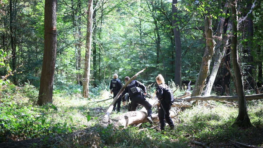 Attacken auf Stromversorgung: Strom-Sabotage: Polizei sucht im Hambacher Forst nach Täter