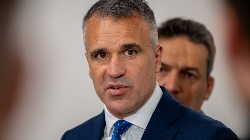 National leader or problem rediscoverer? The issue with Malinauskas's AI royal commission