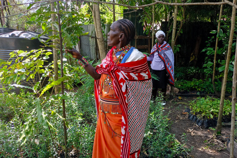 Meet the Indigenous women restoring Kenya’s Mau Forest — and reshaping gender roles